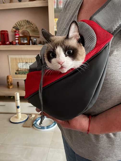 Bolsa mochila transportadora para cães e gatos NOVO PORTES GRÁTIS