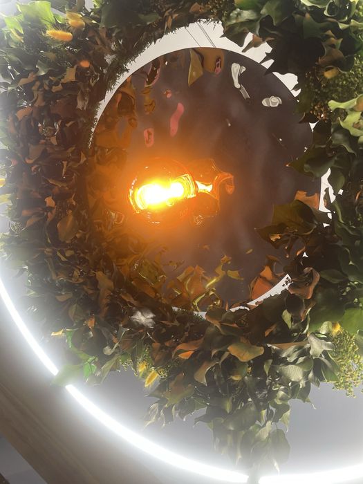 Żyrandol, lampa z zielenią naturalną, Lampa LED, Garden