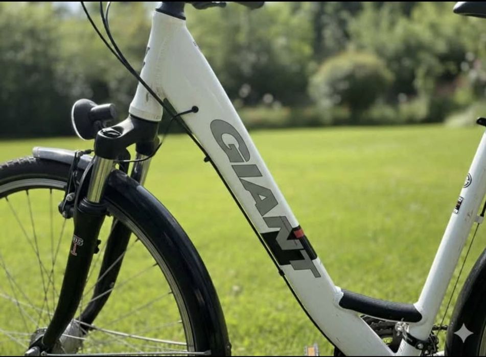 Rower Giant Tourer CS