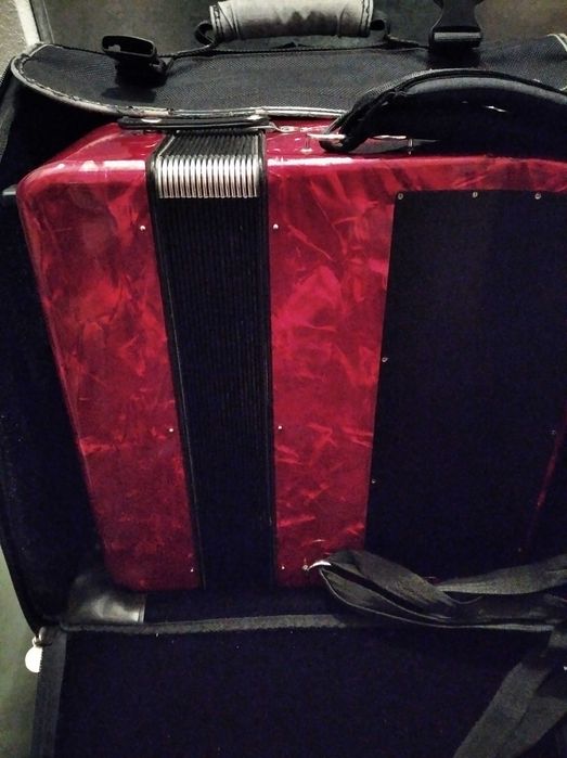 Acordeão Hohner Nova III 96 baixos