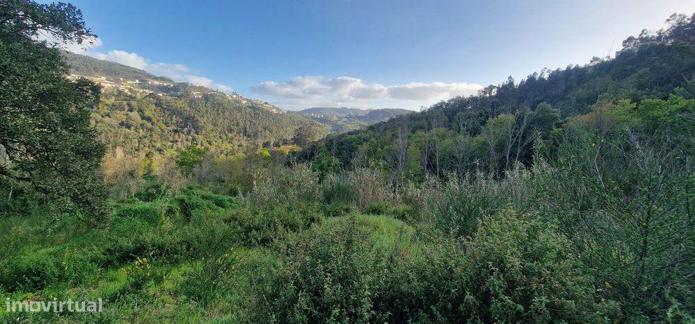 Quinta  Venda em Alpendorada, Várzea e Torrão,Marco de Canaveses