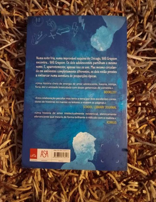 Livro "Will e Will" - John Green