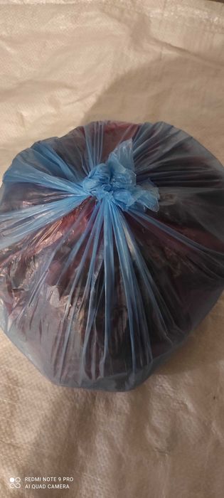 Кедрові шишки молочної стиглості заморожені