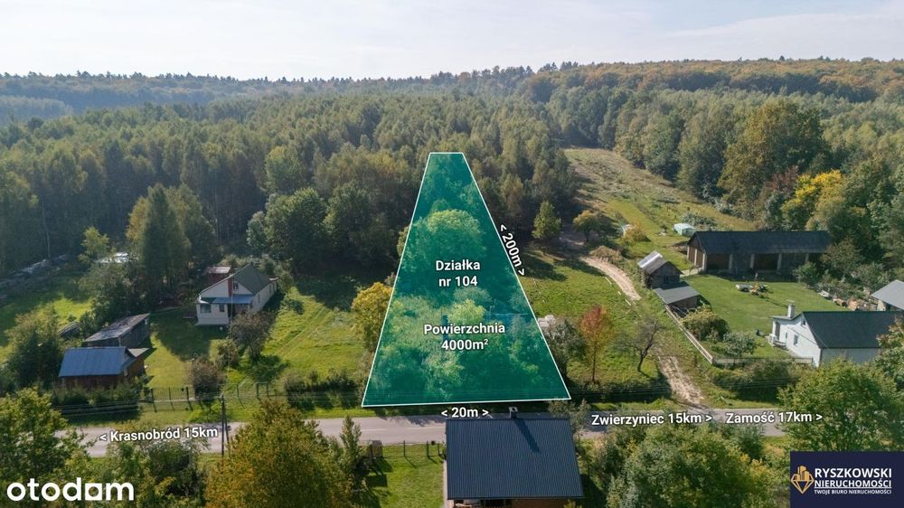 Działka w sercu Roztocza, Szewnia Dolna, 40 ar - Widok 4