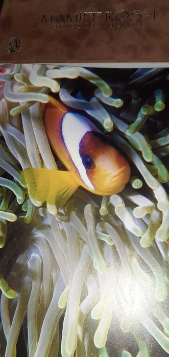 Enciclopedia Natureza Selvagem