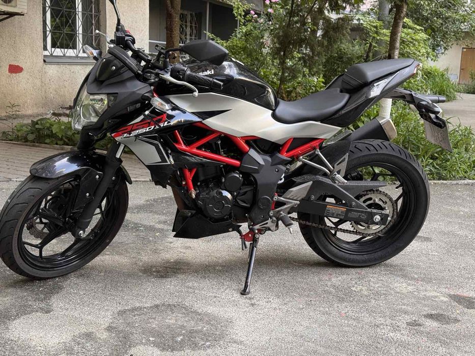 Мотоцикл Kawasaki BR-250 EJF