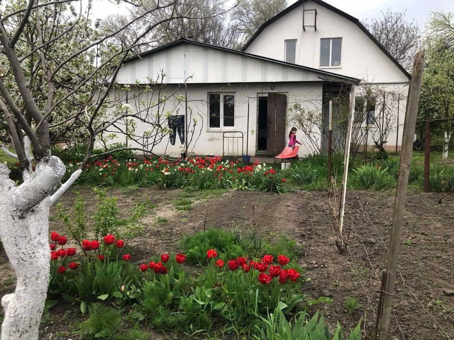 Газифікований цегляний будинок 200 м² + 33 сотки. Очеретувате