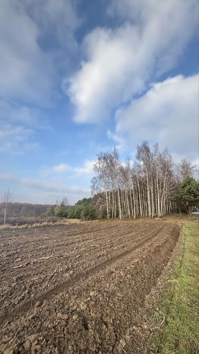 Bratoszewice – działka 11 051 m² | MPZP | las | PKP | blisko A1/A2