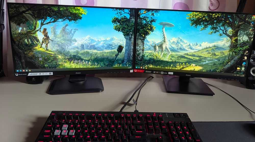 dwa monitory iiyama G-Master 24,5" 1080p - 165Hz + 75Hz - komplet