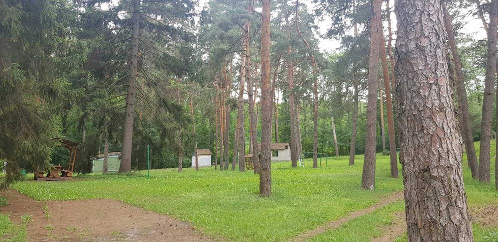 Продам будинок + парк 2 Га в Старому Мерчику | варіант для себе та бізнесу