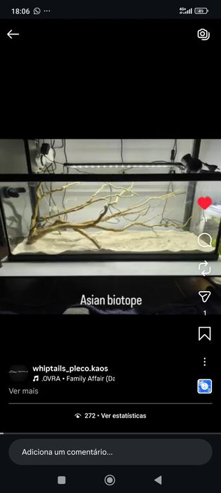 Aquário 120 litros+ oferta luz