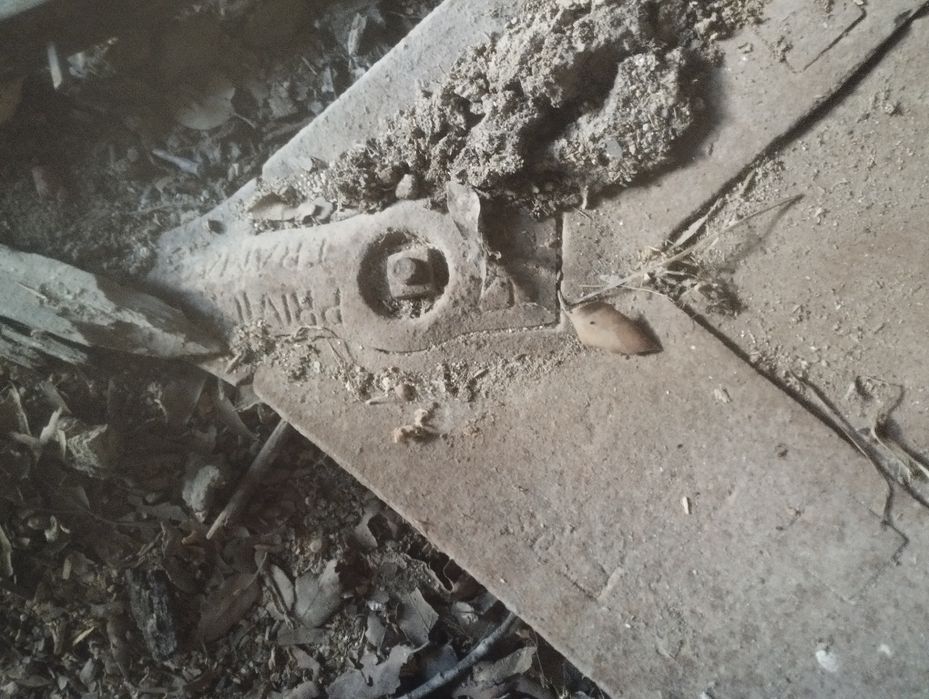 Charruas antigas