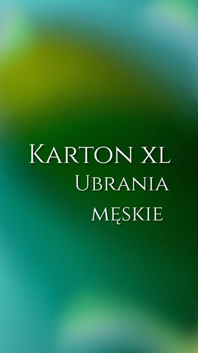 Ubrania męskie S-L