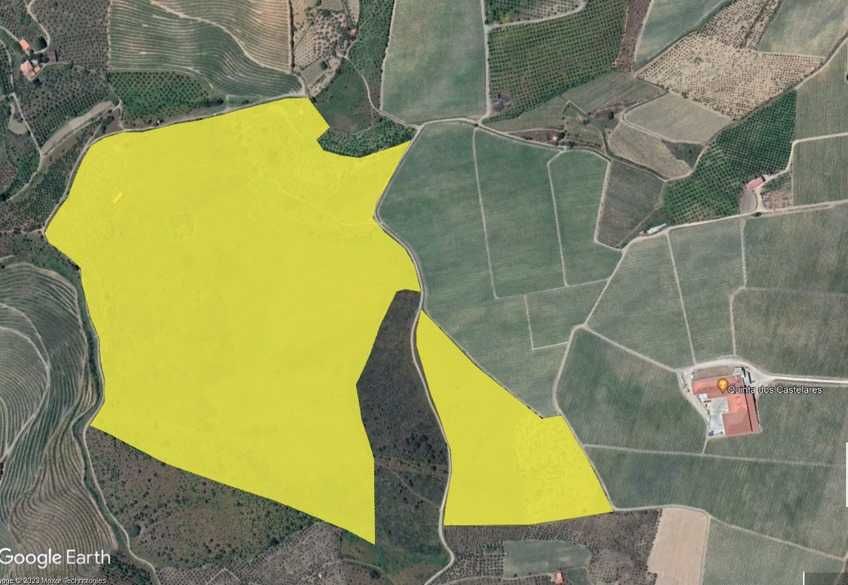 Terreno com 32 hect. com excelente potencial para a produção de vinho.