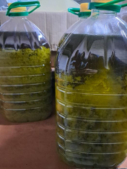 Azeite virgem extra 5lts