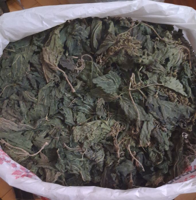 Продам сушені лікарські рослини