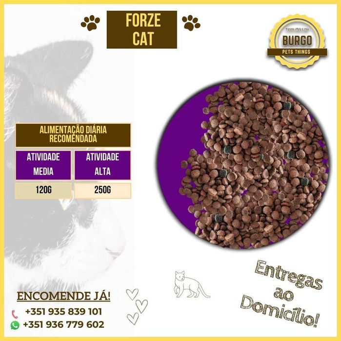 Forze Gato - 20kg (Ração de Gato)
