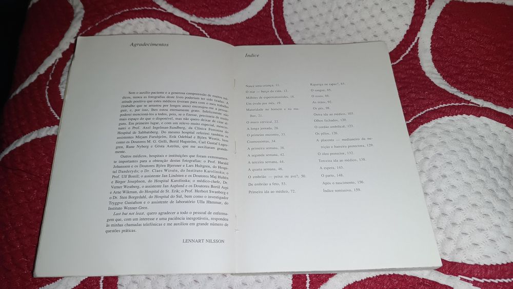 Como nasce uma criança