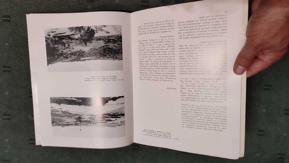 Pré-História da Área de Sines-Carlos tavares da Silva/Joaquina Soares