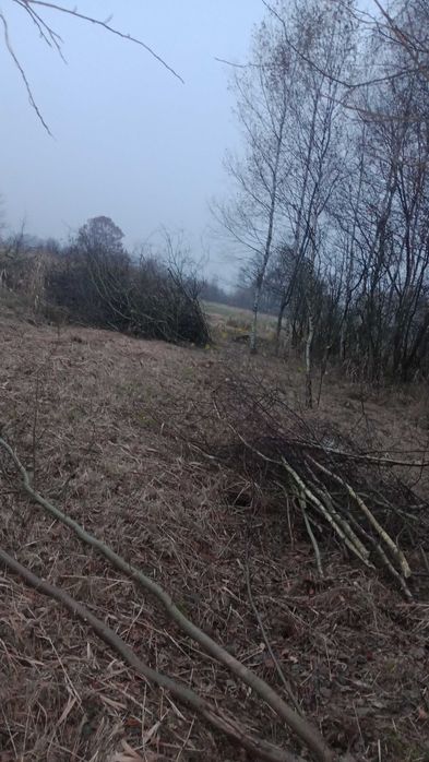 Rozbiórki/Wycinka/Karczowanie/Pracę Porządkowe/Koszenie itp