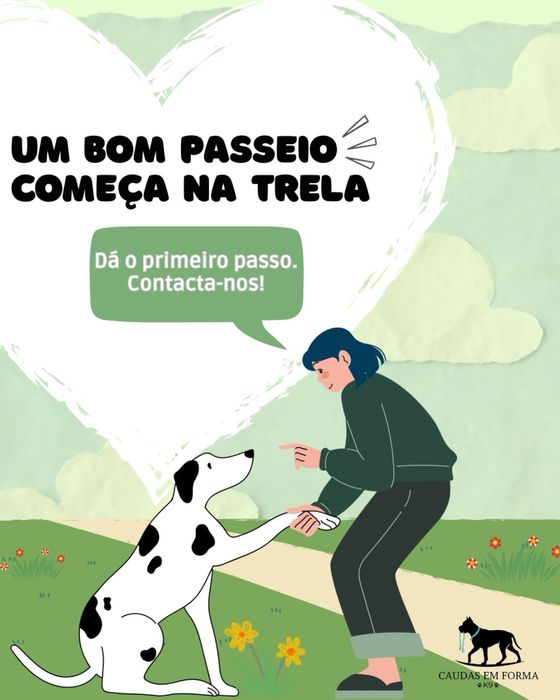 Dog walking, pet sitting