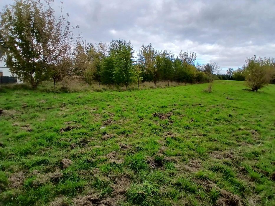 Działki Budowlane Stara Huta 35 arów z projektem