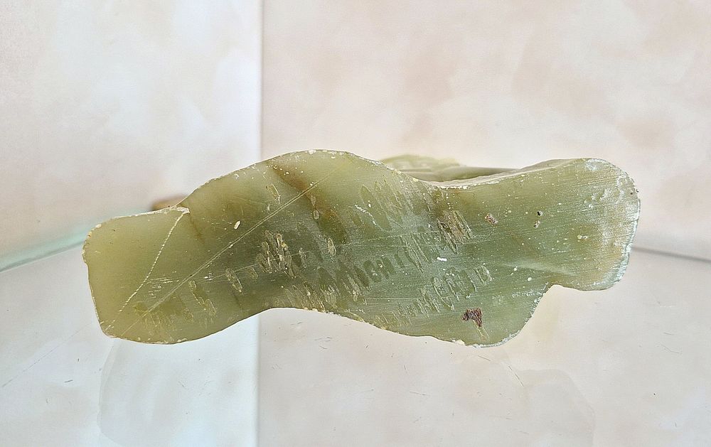 Лошаді коні лошадь