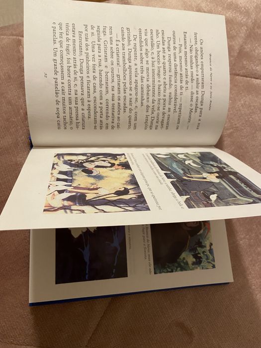 Vendo livro da Branca de Neve e os Sete Anões
