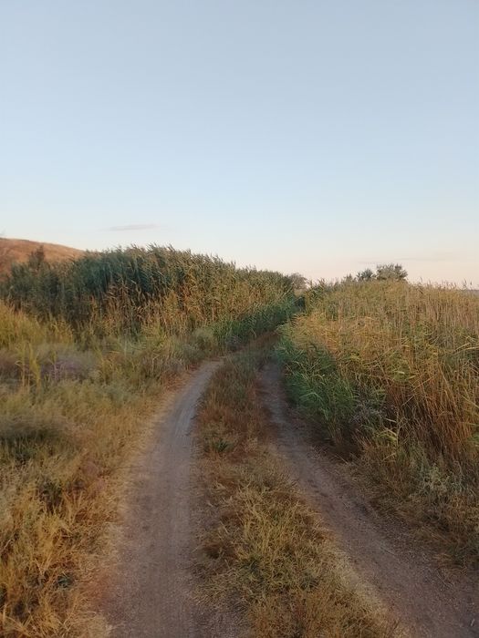 Сдам комнаты в Коблево возле Тилигульского  лимана.  Частный сектор.