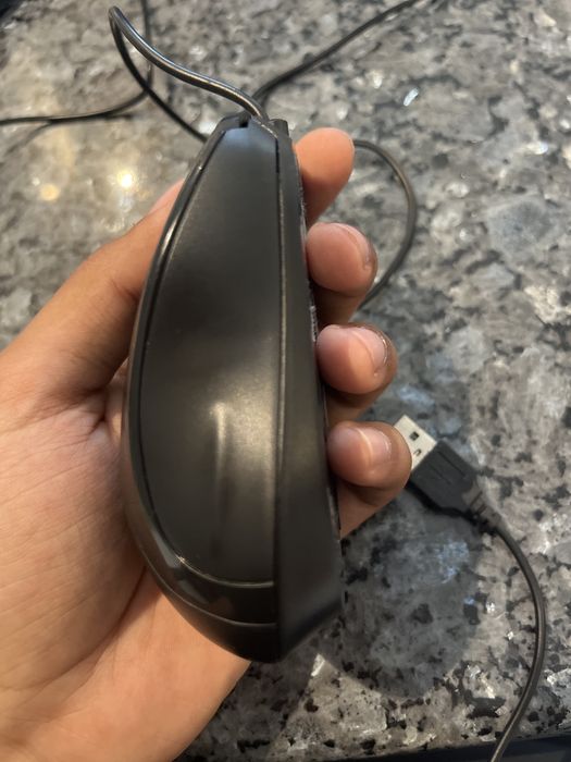 Mouse with cable