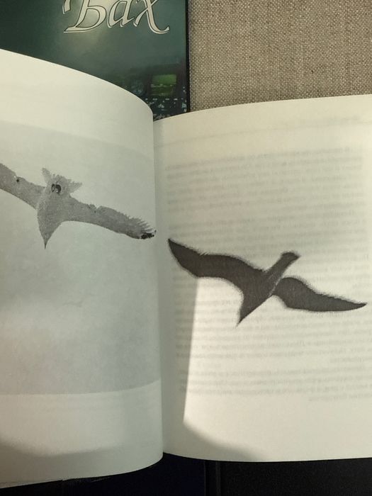 Ричард Бах. Чайка. Джонатан Ливингстон.