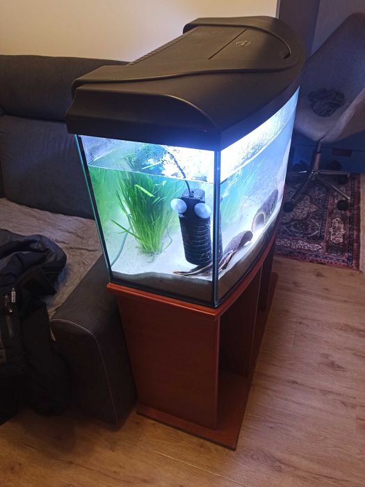 Sprzedam akwarium 112 l panorama