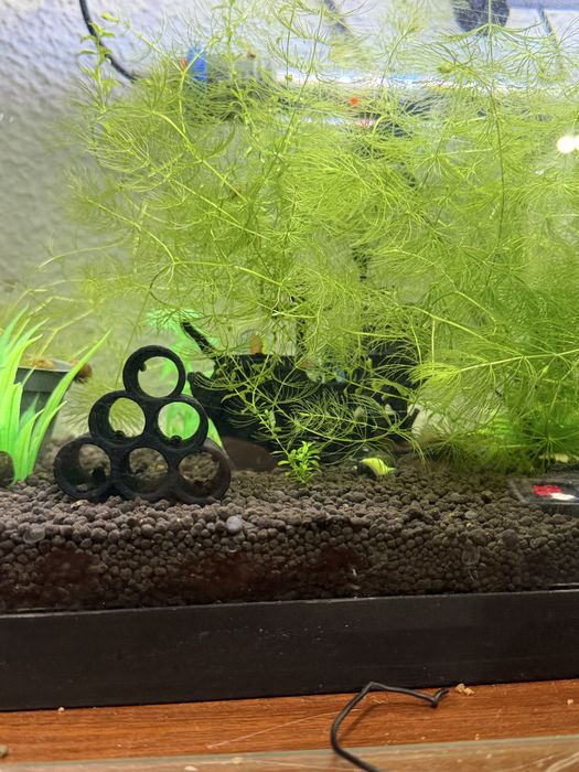 Ornamentos para aquario feito em impressora 3D