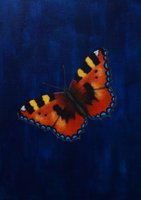 Картини з метеликами