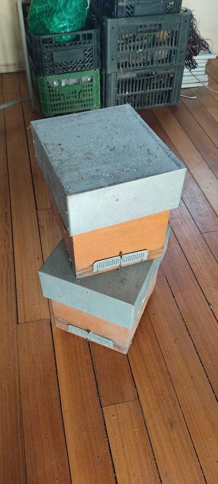 Núcleos de Fecundação de Abelhas Rainhas