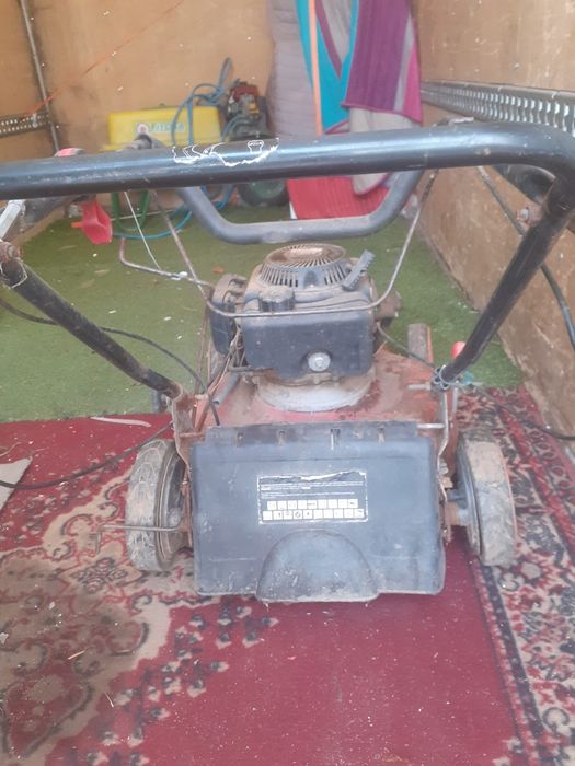 Máquina corta relva