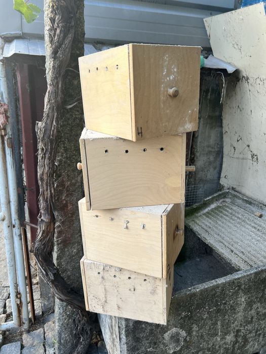 Ninhos usados em bom estado