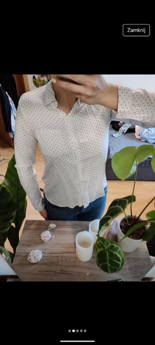 koszula w kropki grochy