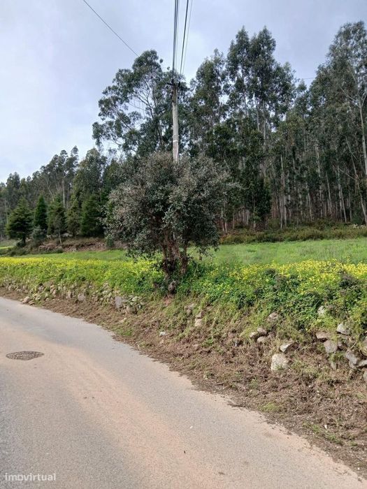 Terreno para Contrução na Mata de São Pedro
