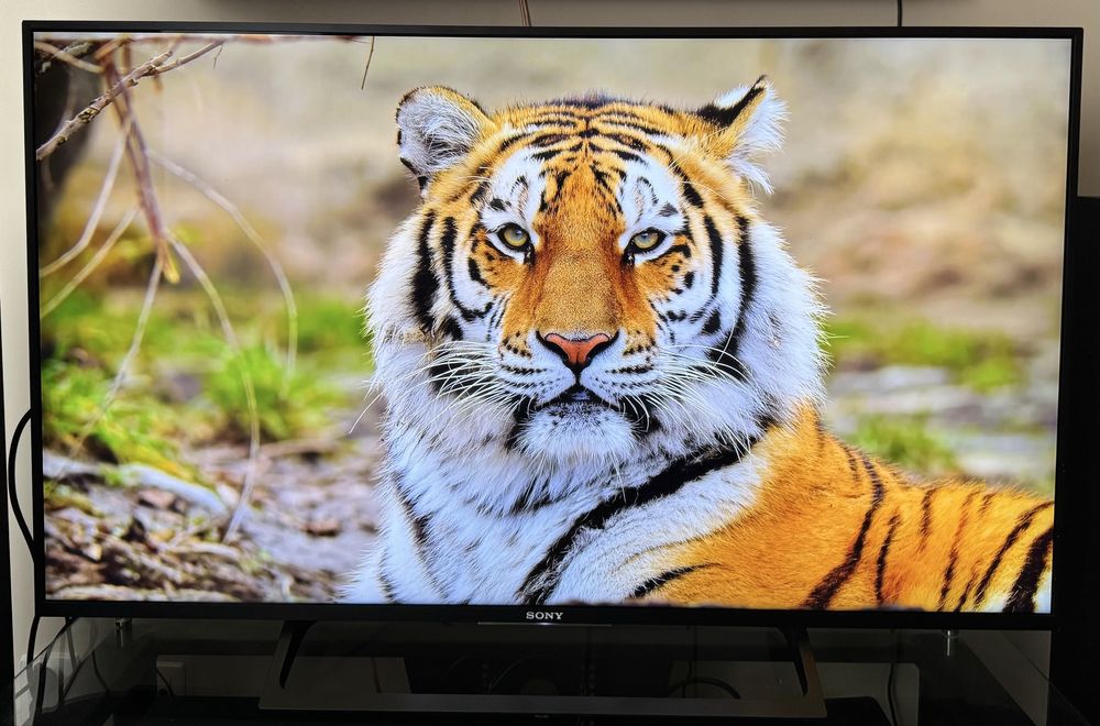 Telewizor Sony KD-49XE8005