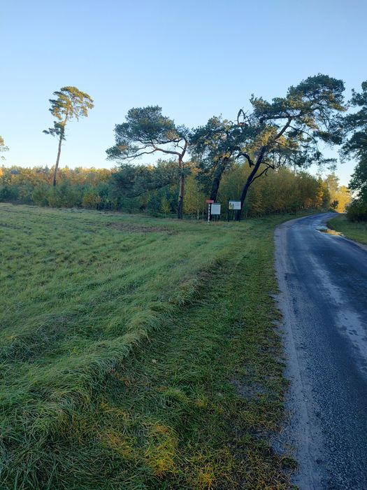 Działki budowlane