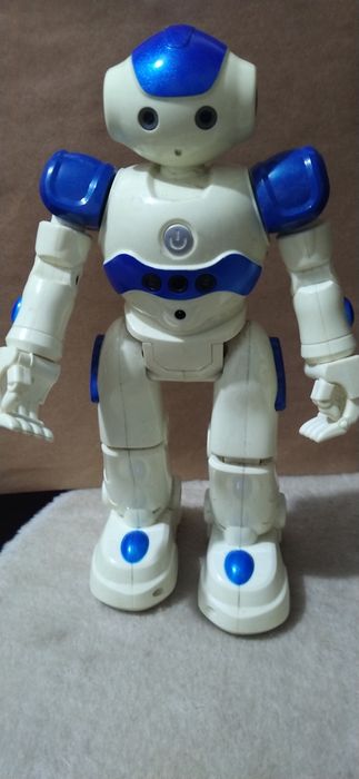 Electronic robot without remote control454886423035258880