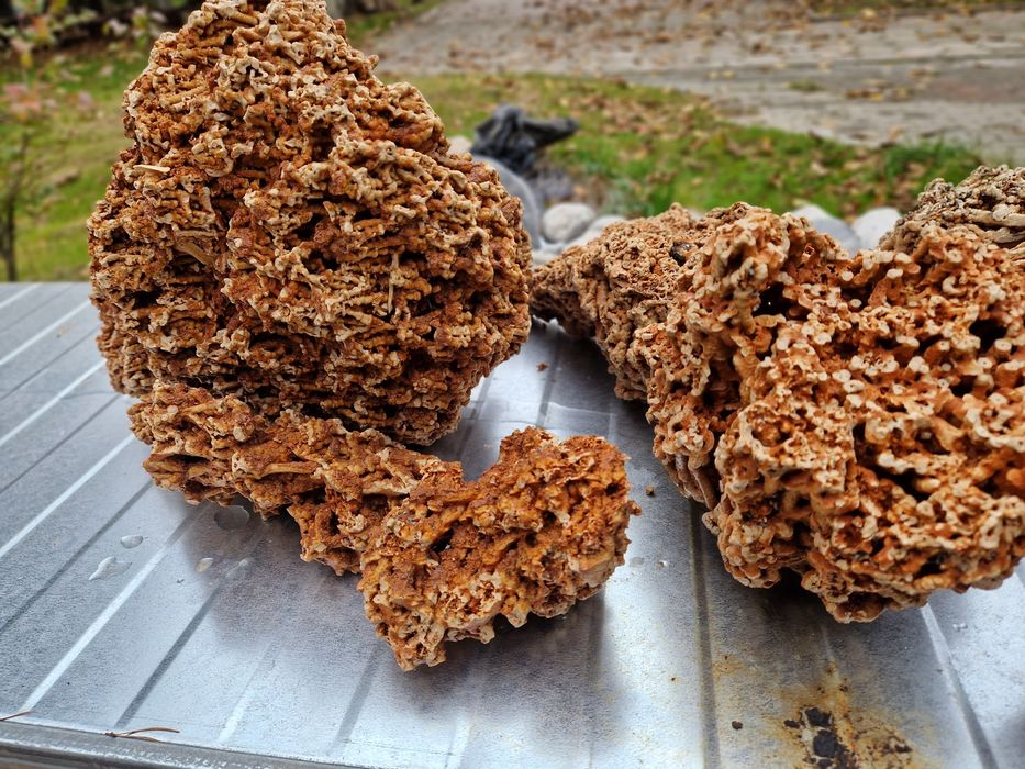 Wapień Czerowny 5pln/kg