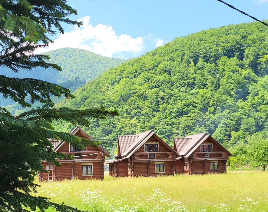 Котедж в Карпатах, відпочинок Посередині між Синевир і Шипіт подобово