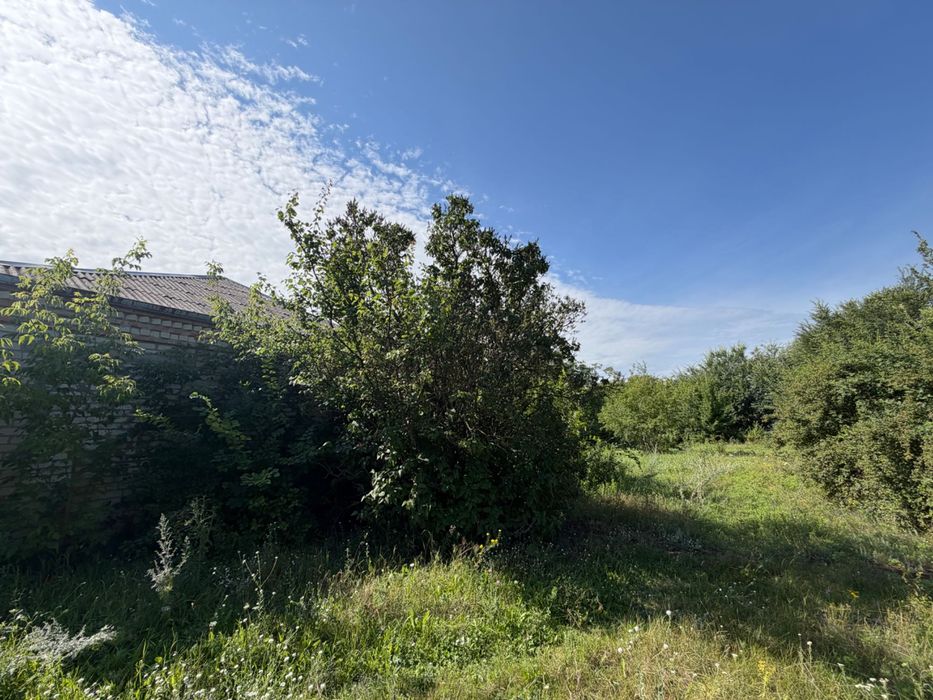 Продам коммерческое помещение с. Николаевка (Новомосковский район)