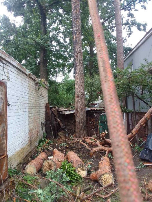 Видалення аварійних дерев.Є послуги автовишки.