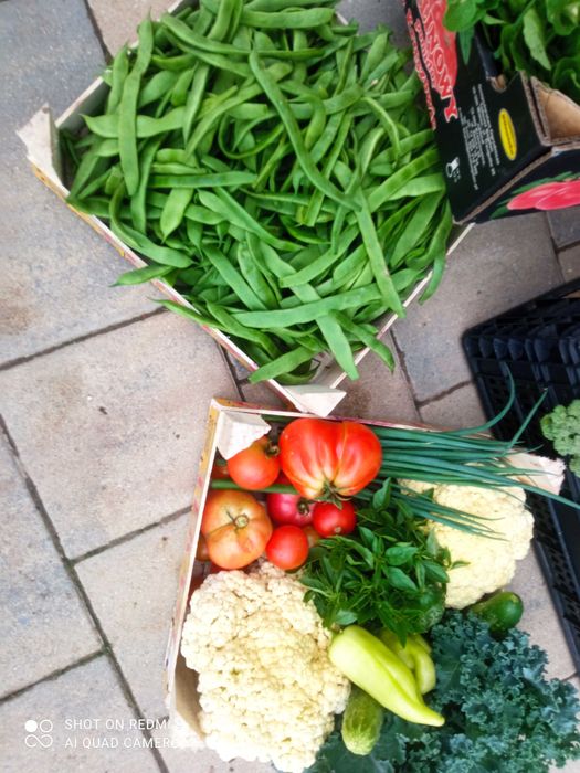 Oddam miejsce pod zrębki, eko pod warzywa, ZA DARMO,Ochojno k. Krakowa