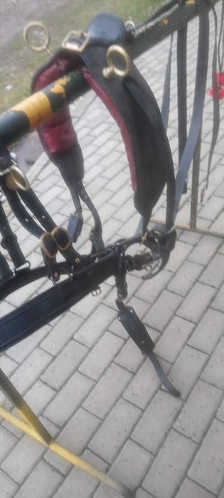 sprzedam puszory dla konia