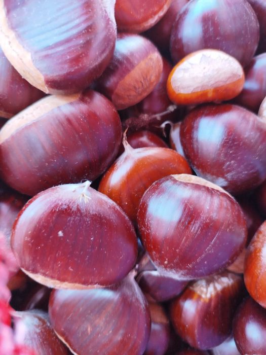 Castanhas frescas  e Grandes