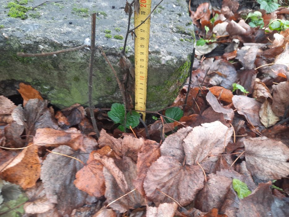 Продам бетоні плити